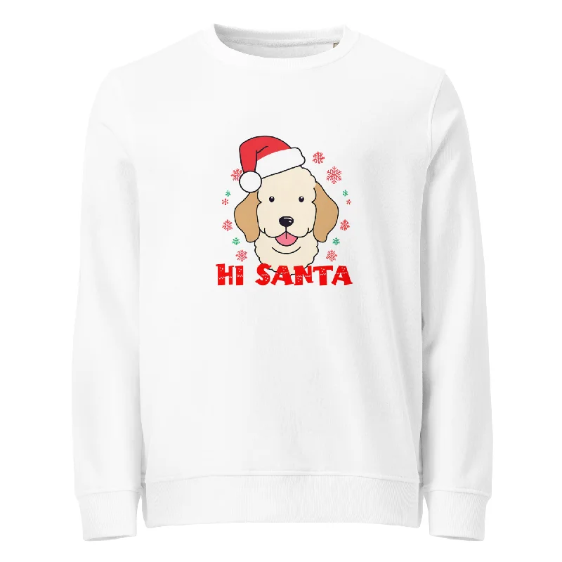 Hi Santa Graphics Organic Sweatshirt Hoodie with Gradient Ombre Colorful